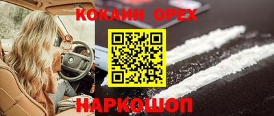 амф Камышлов