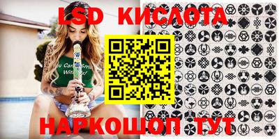 амф Камышлов