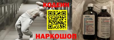 амф Камышлов