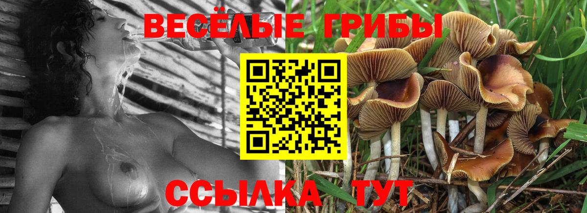 Красный Сулин  Галлюциногенные грибы Magic Shrooms  Галлюциногенные грибы GOLDEN TEACHER  Вход с VPN 